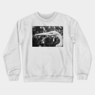 Black and white headshot of a Great egret Crewneck Sweatshirt